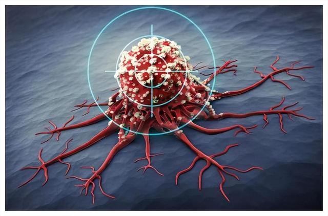 29e28a59ef294107a5d2cdf42467f201